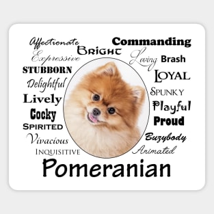 Pomeranian Traits Magnet